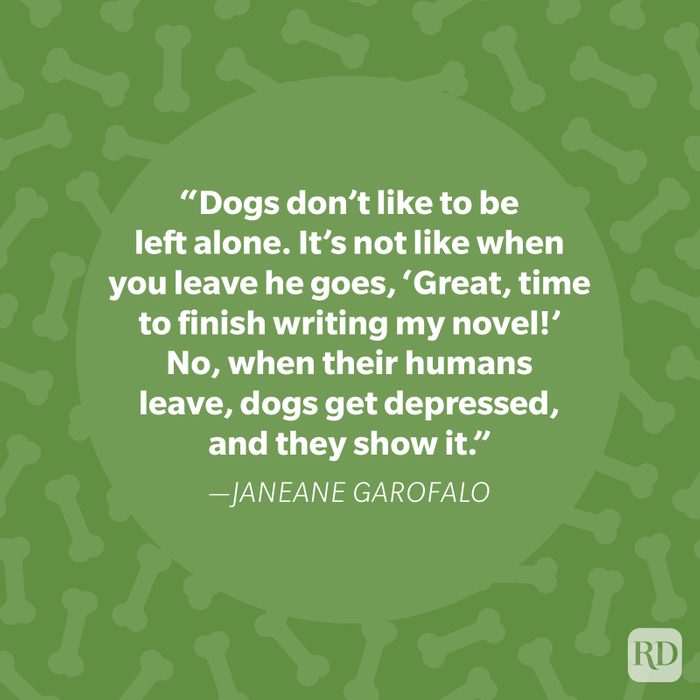 Janeane Garofalo Dog Quote
