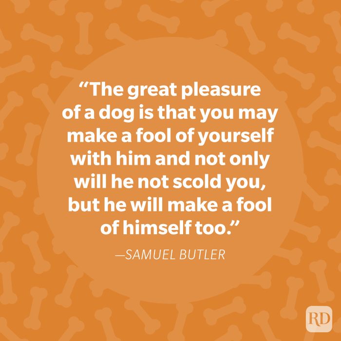 Samuel Butler Dog Quote