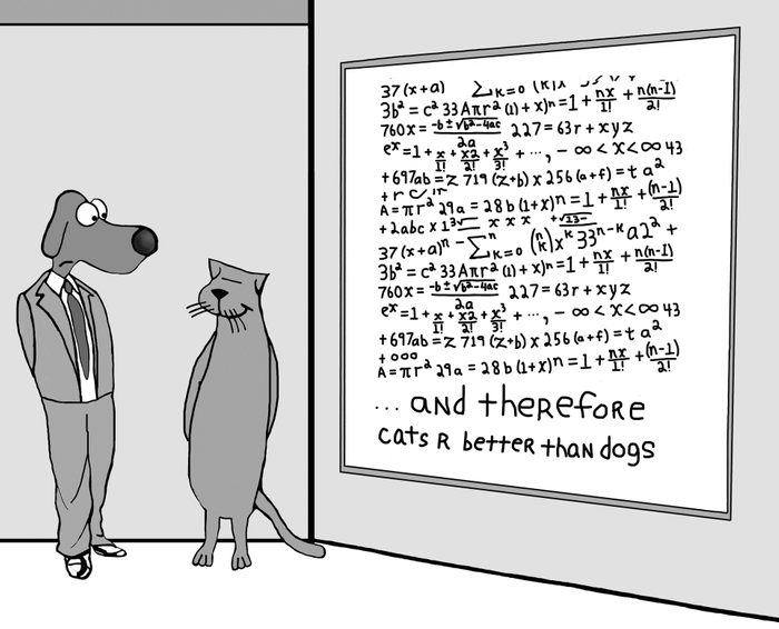 Cats Are Better Than Dogs