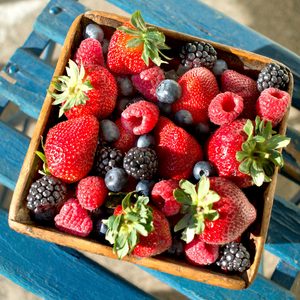 Mixed berries fill a wooden bowl, sitting on a blue painted bench under sunlight.
