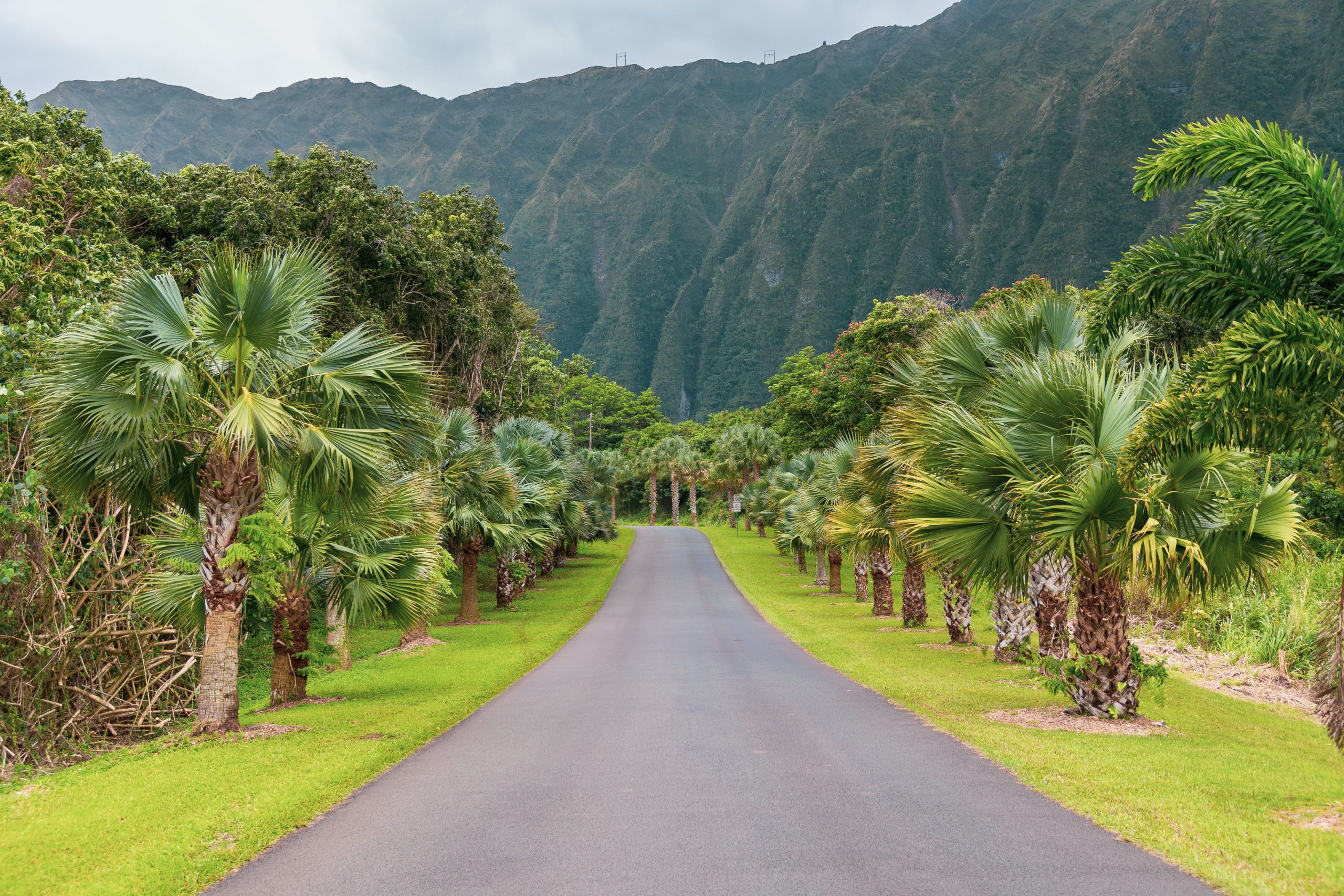 Hoomaluhia Botanical Garden