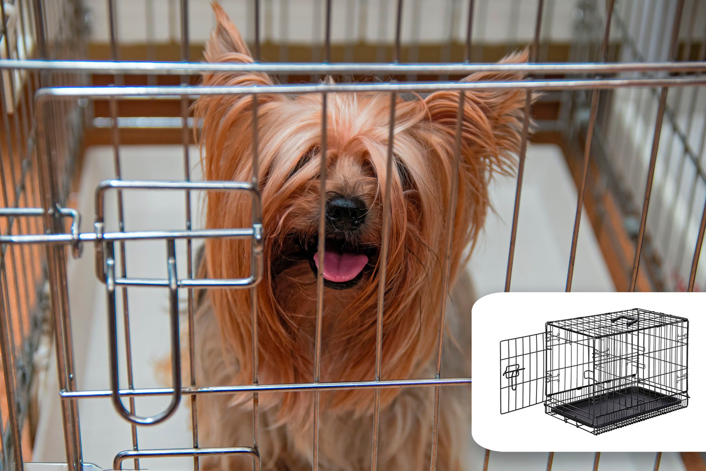 dog crate