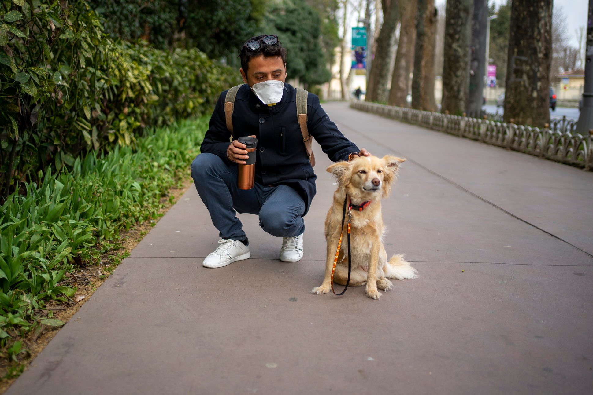 Taking the dog for a walk in the city