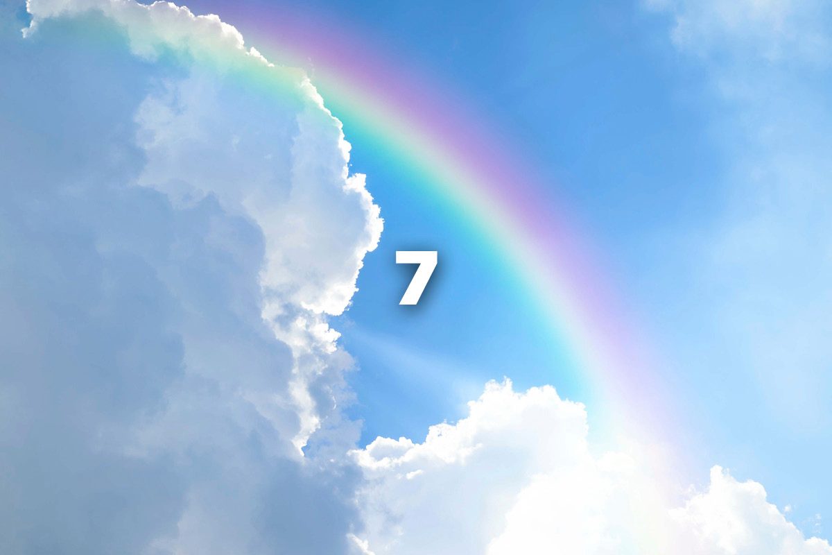 7
