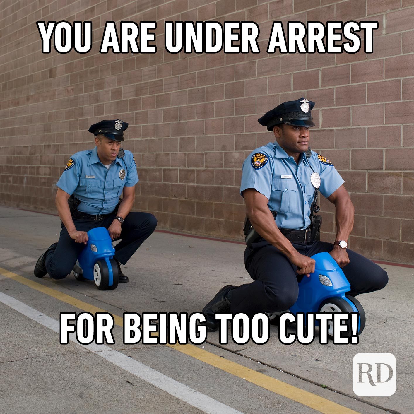 Two police officers. Meme text: You are under arrest for being too cute!