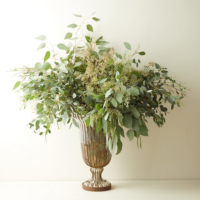 Elegant vase holds lush eucalyptus arrangement, set against a plain, light-colored wall.