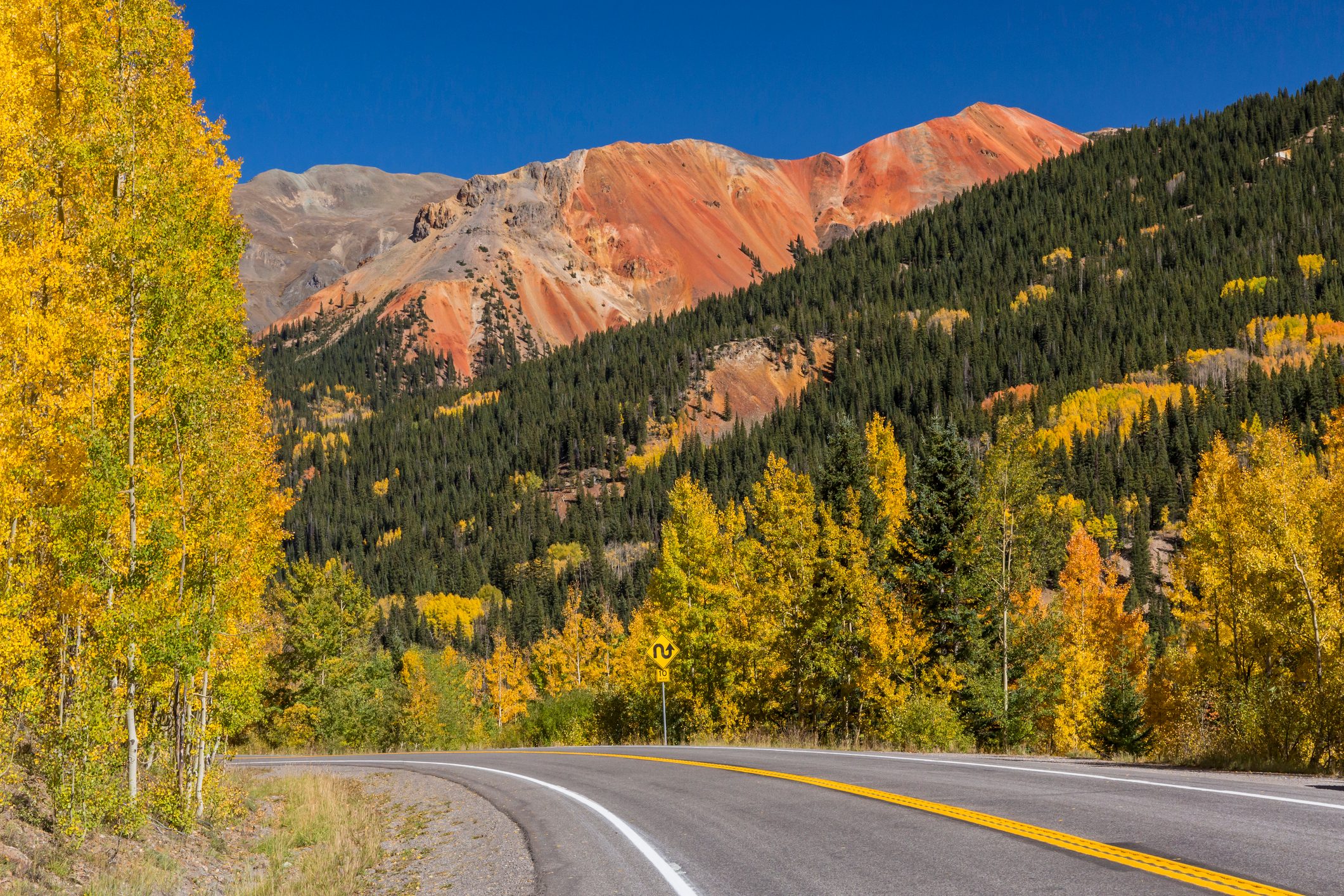 Golden aspens on Red Mountain Pass on the Million Dollar Highway in the Uncompahgre National Forest, Colorado