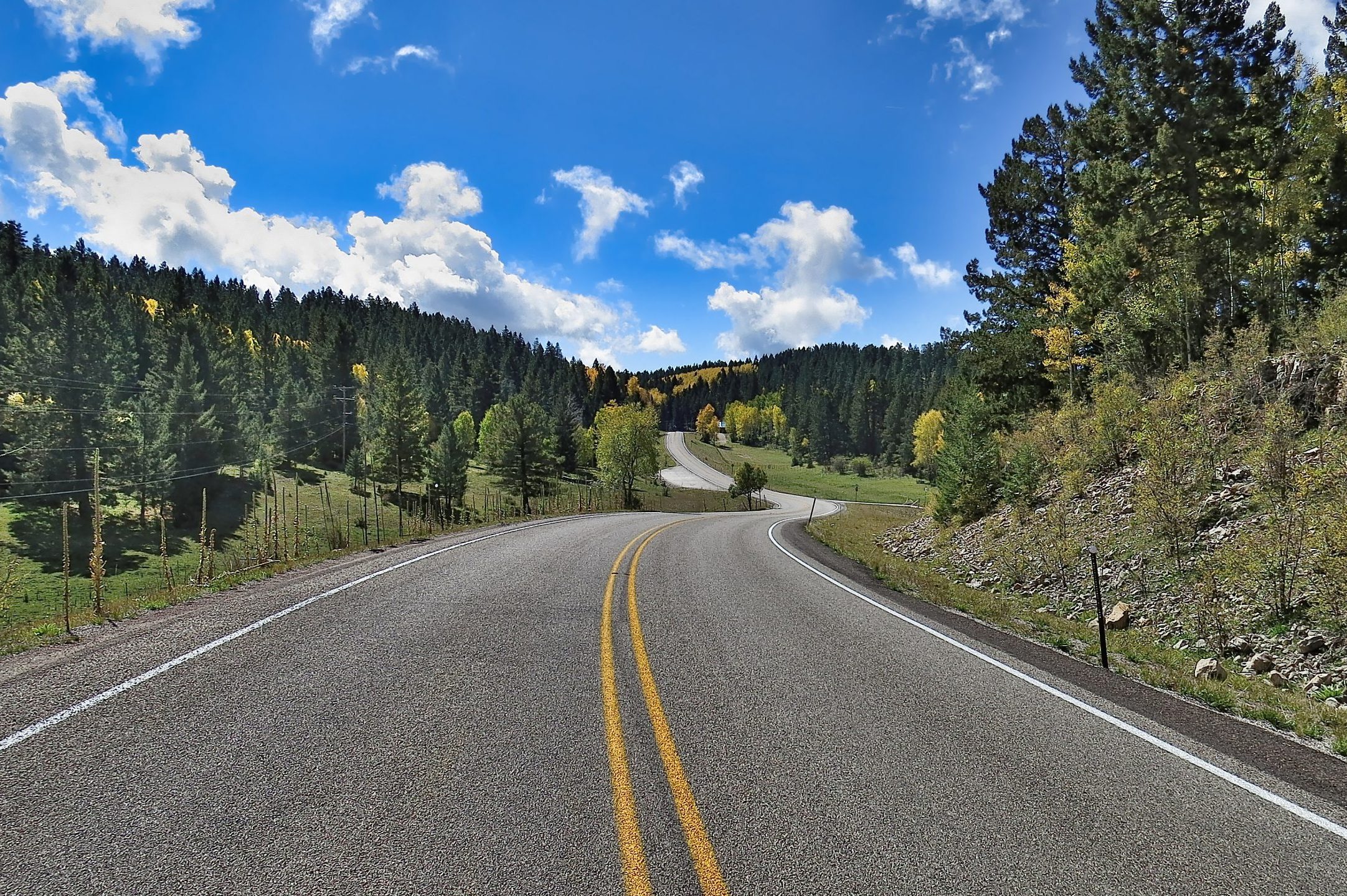 Empty Road Along Trees And Plants Against Sky