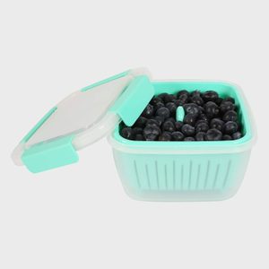 Plastic container holds blueberries, with a partially open lid, set against a plain background.