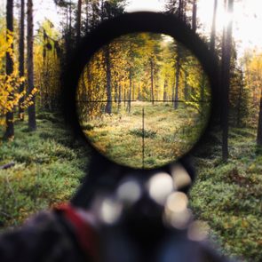 Crosshair view in a riflescope focusing on an autumn forest, surrounded by trees with yellow leaves and sunlight filtering through.