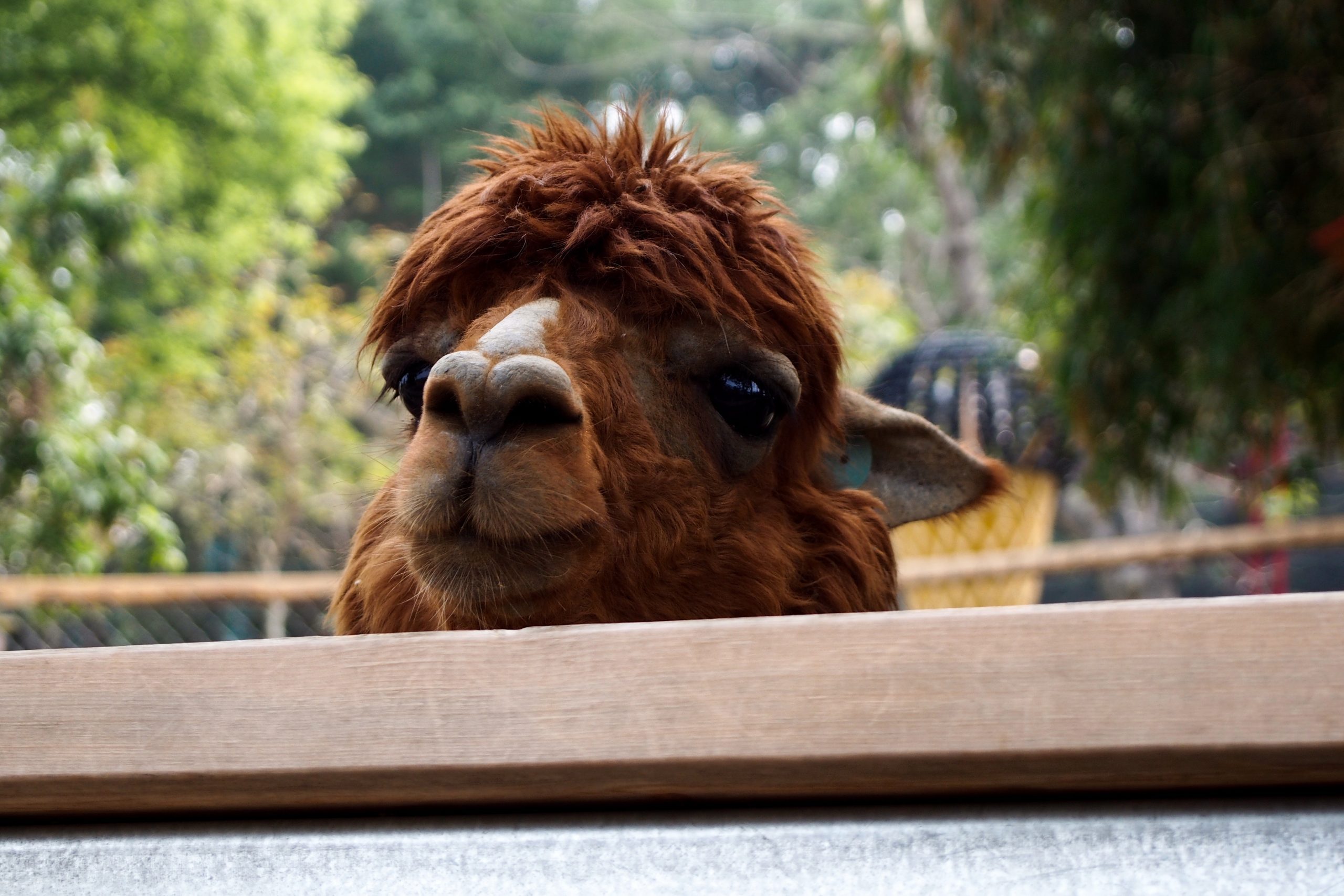 Hello there!