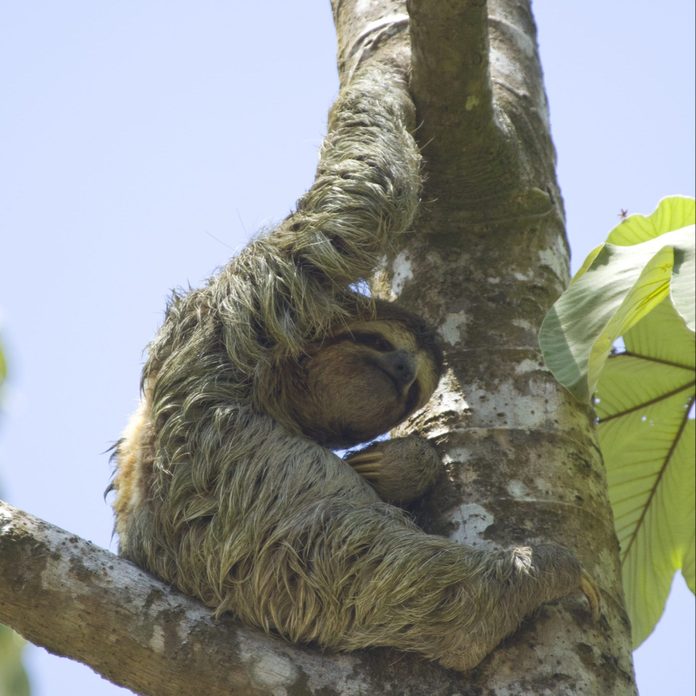 Nap Time