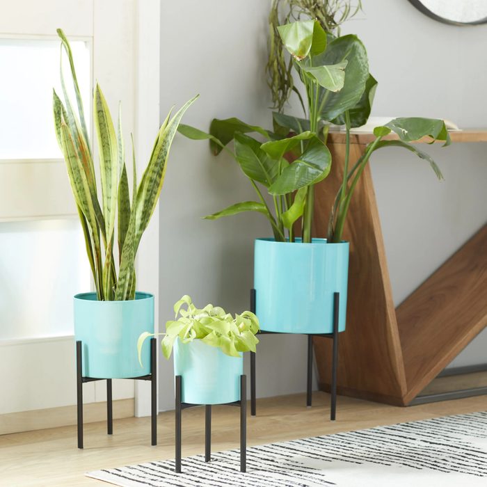 Calek 3 Piece 100 Iron Pot Planter Set Ecomm Via Wayfair.com