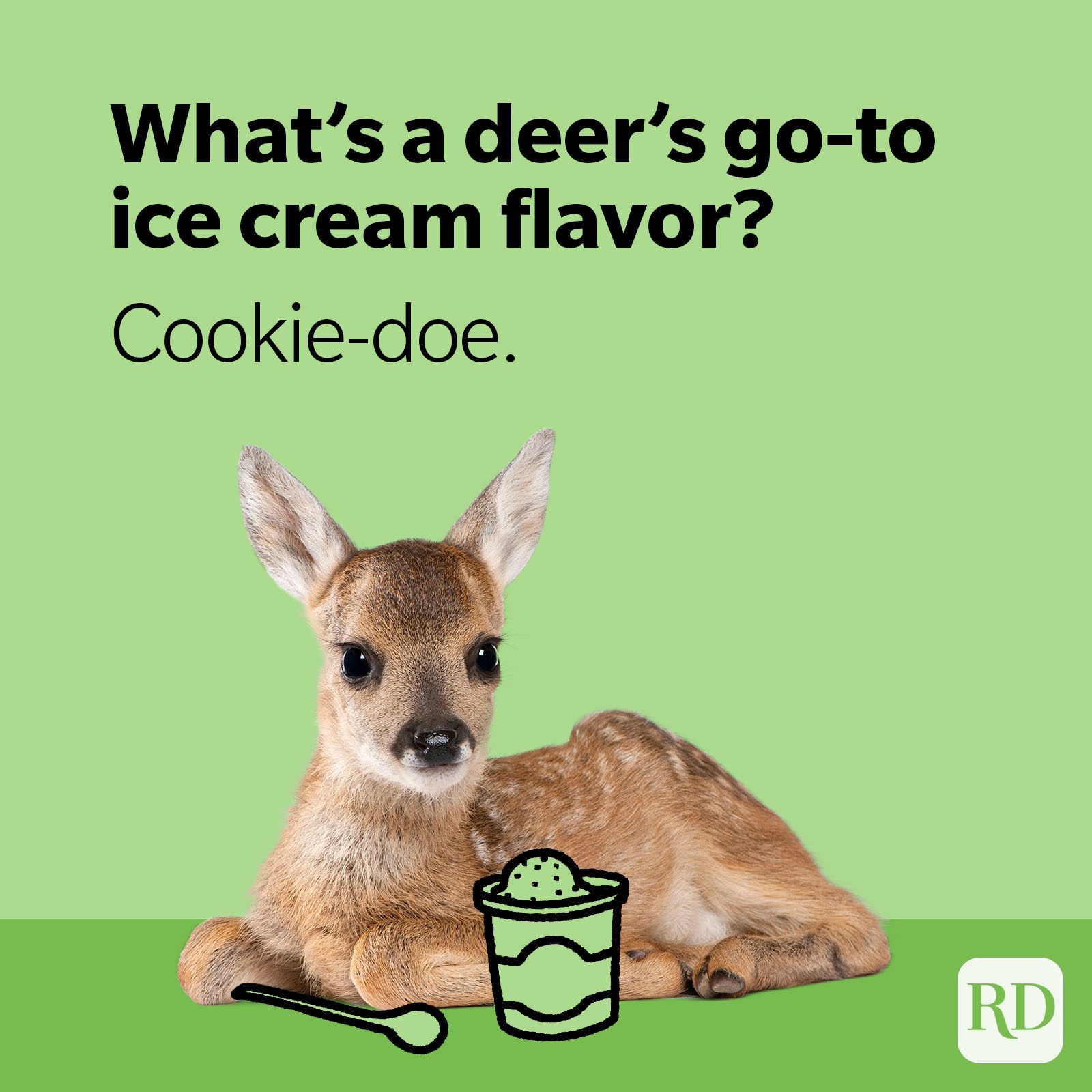 Deer eating ice cream