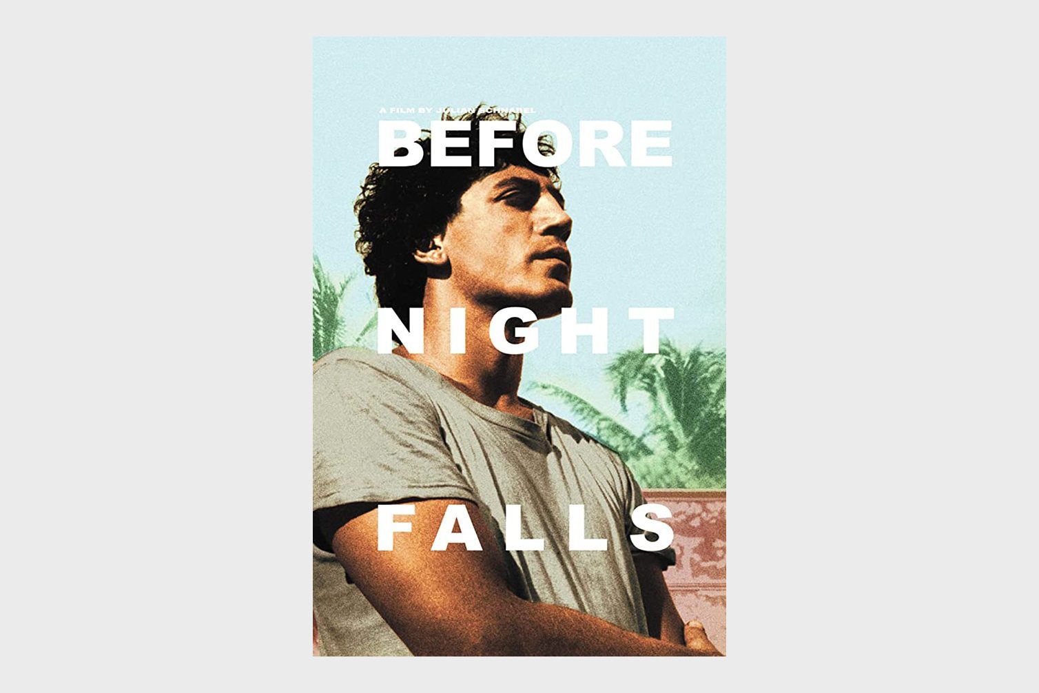 Before Night Falls Movie 