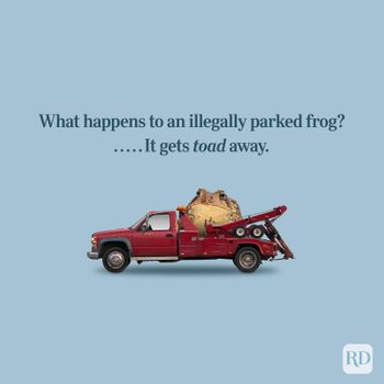 Tow truck carries a large toad; humorously suggesting it was "toad away" for illegal parking. Blue background, with text making a pun.