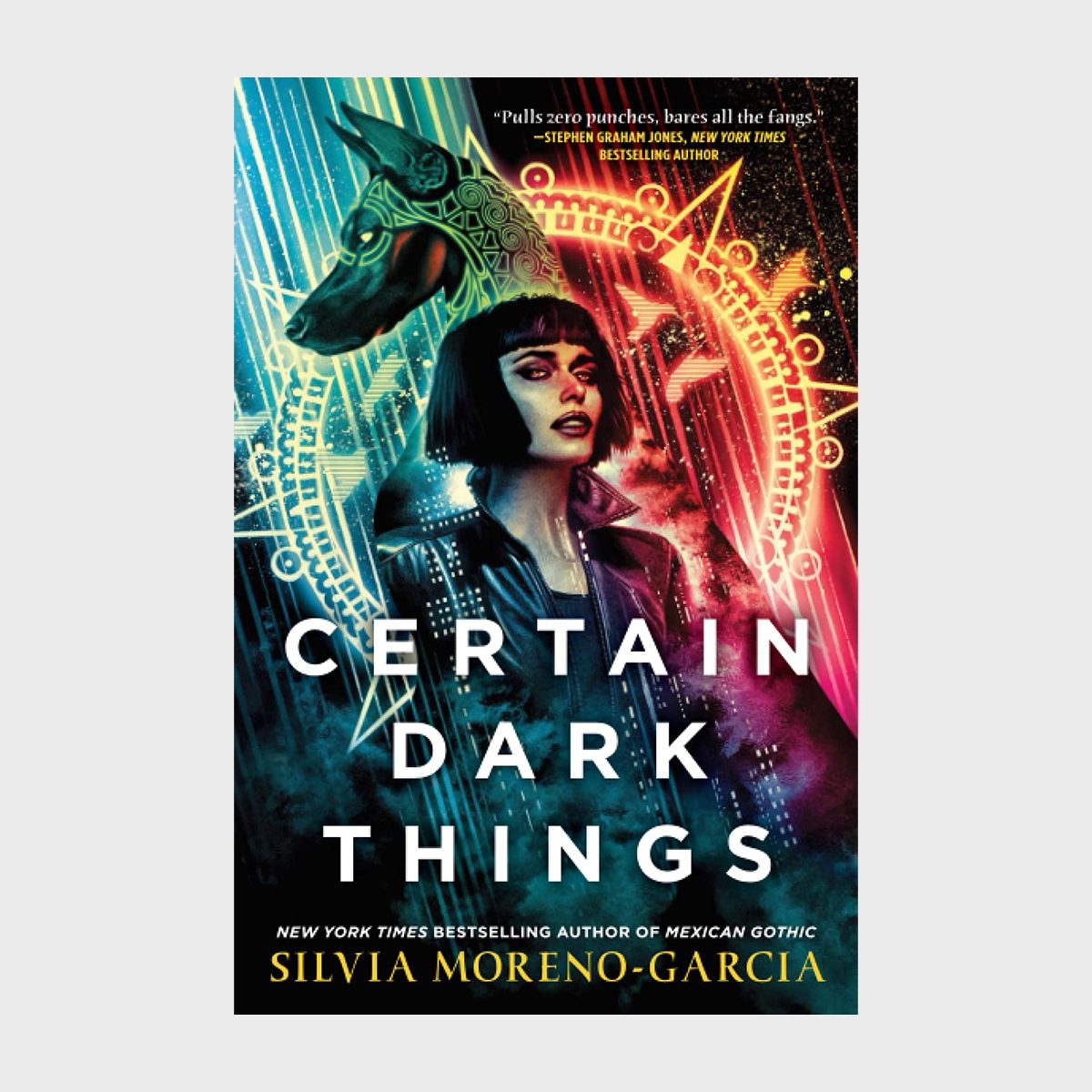 Certain Dark Things Book
