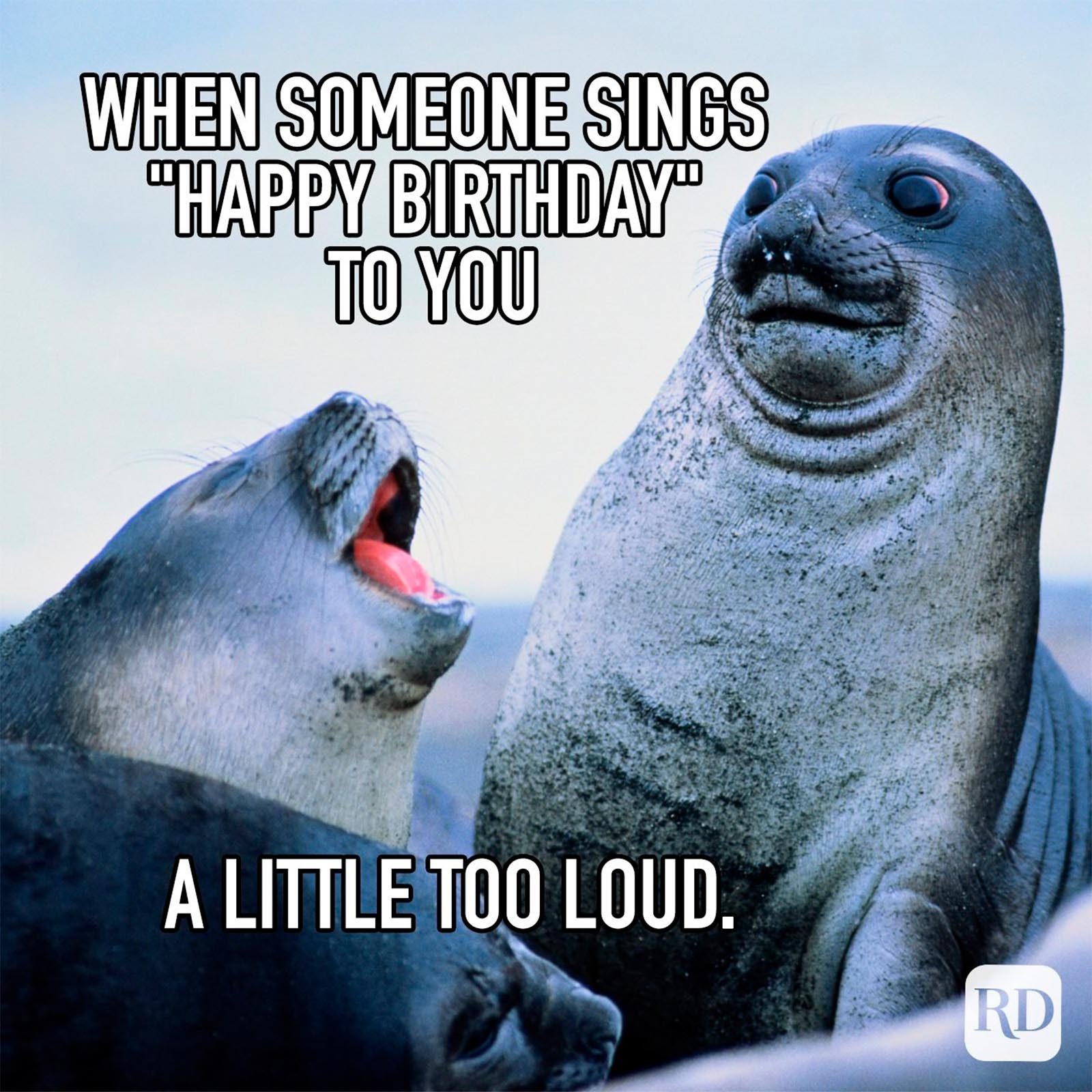 Birthday Memes 37