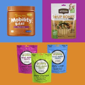 Various dog treats, including Mobility Bites, Soup Bones Minis, and Trail Buddy Treats, displayed with colorful backgrounds.