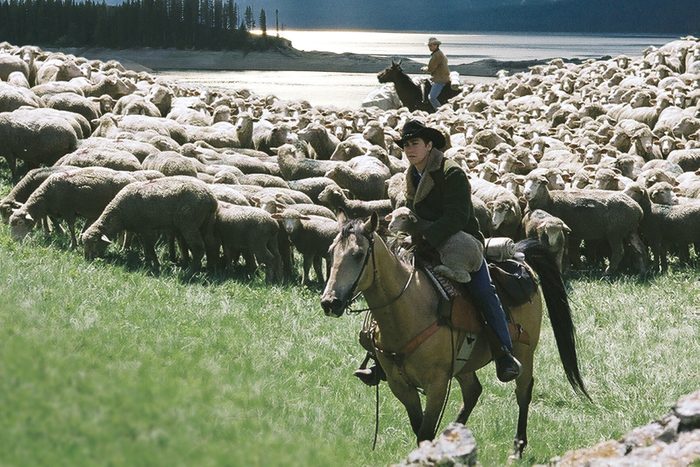 Brokeback Mountain Movie