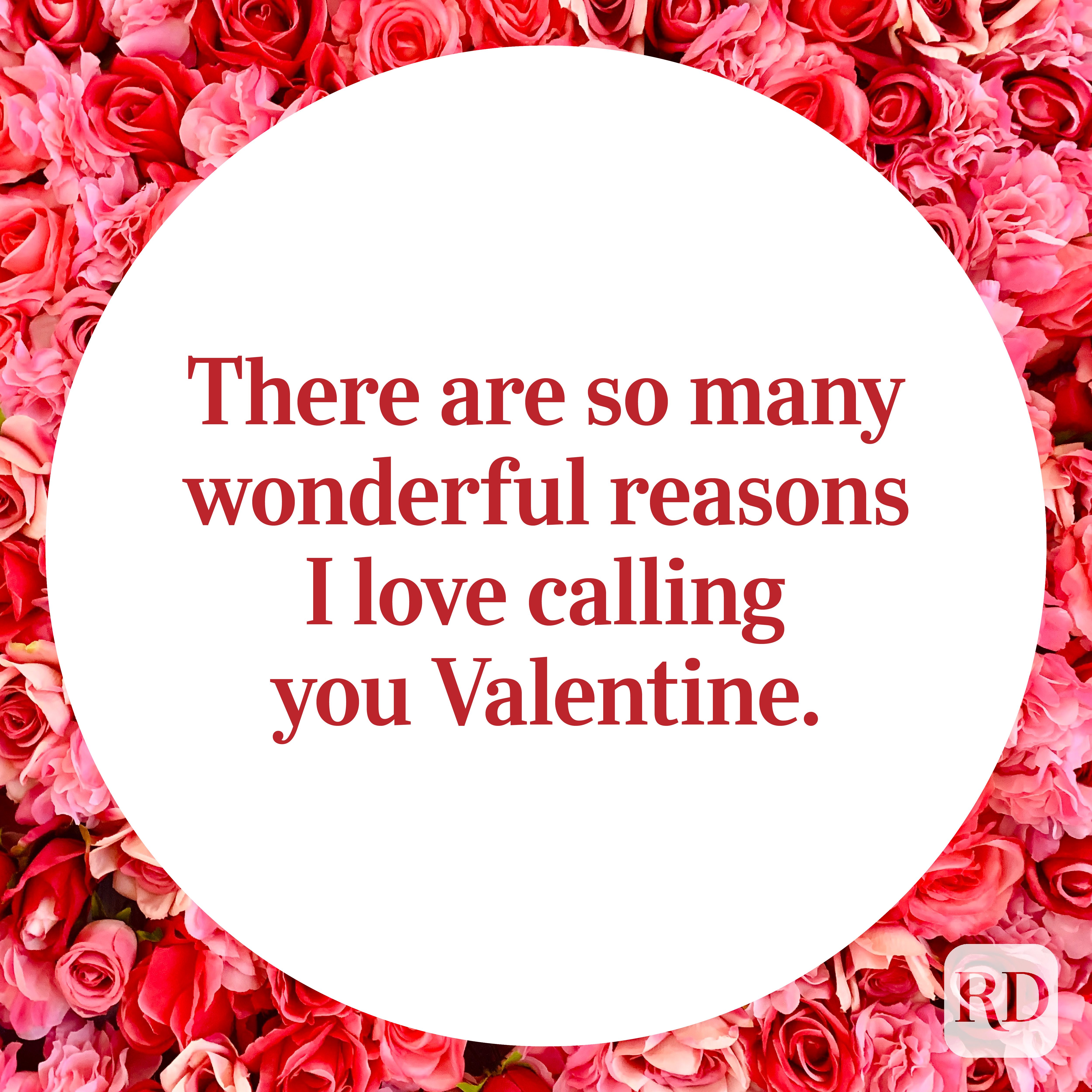 Valentines Day Quote on a background of pink roses