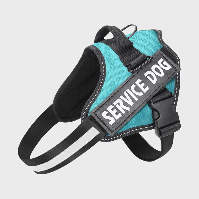 Harness displaying 