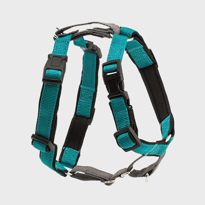 A turquoise nylon dog harness with adjustable straps and black plastic buckles; depicted isolated on a plain white background.