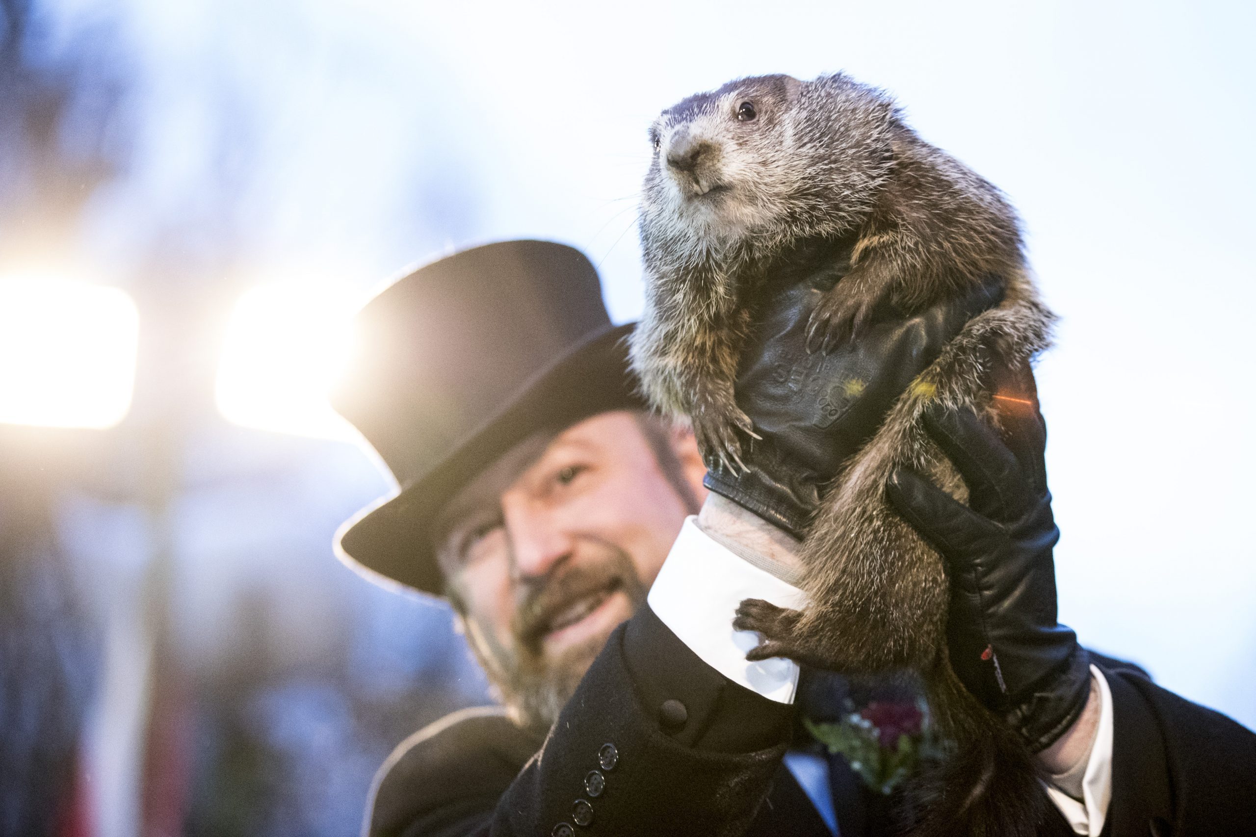 Here’s Why We Celebrate Groundhog Day in the First Place