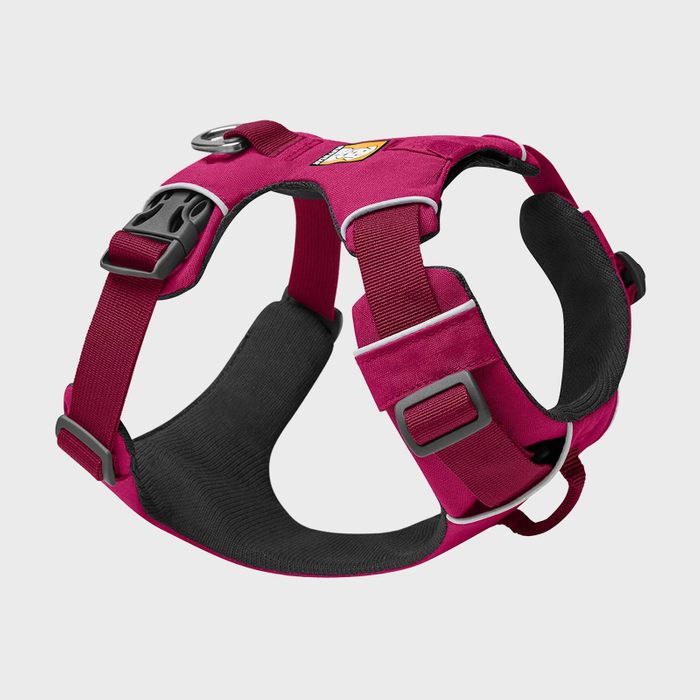 Dog harness sits upright, featuring maroon fabric and black interior, surrounded by gray background.