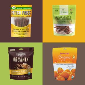 Four packages of organic dog treats displayed in a grid: Fetch Fries, Uncle Justyâ€™s, Organix Cookies, and Grandma Lucyâ€™s Pumpkin Recipe.