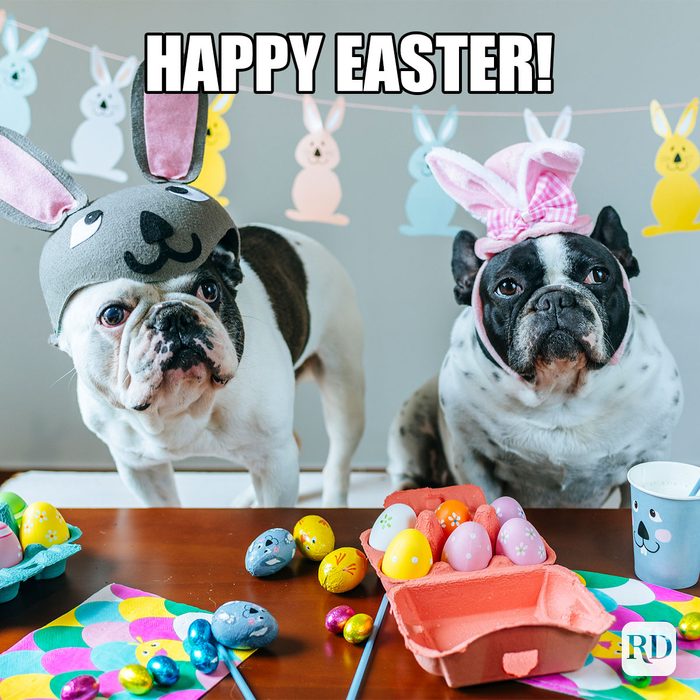 35 Hilarious Easter Memes That Will Make Any-Bunny Laugh Text: Happy Easter!