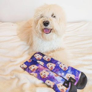 Fluffy dog lying on a white blanket, next to colorful socks featuring a similar dog image in a cosmic pattern.