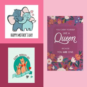 Elephants and cats embrace with 