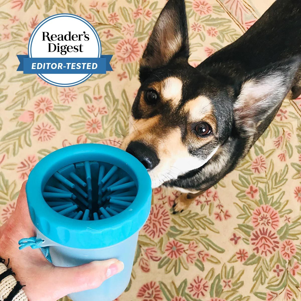 hand holding a mudbuster paw cleaner allowing a dog to sniff it; reader's digest editor-tested badge in the corner