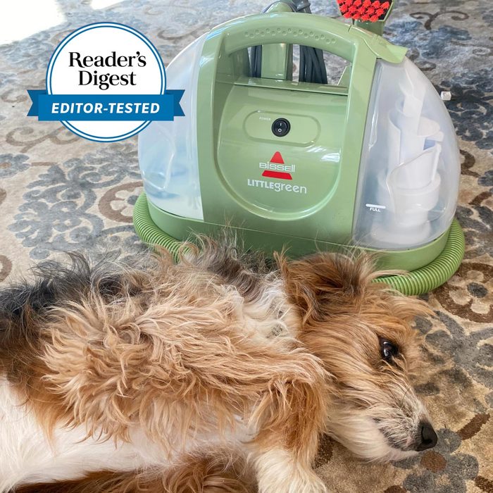 Green carpet cleaner resting, next to a fluffy dog lying on a patterned rug with Reader's Digest 