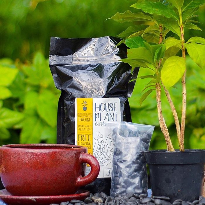 Red cup sits beside plant soil bag and green potted plant on pebble-covered surface, surrounded by lush greenery.