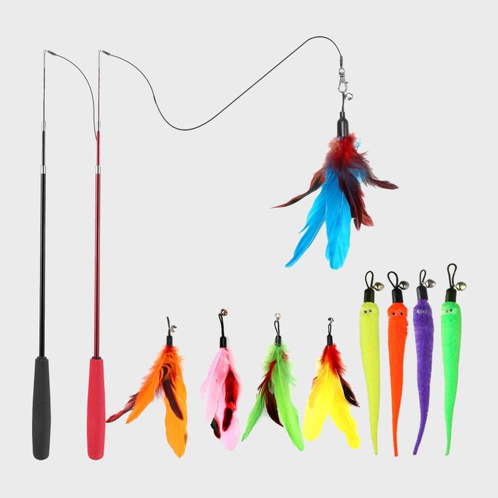 Two cat wands dangle feather and worm-like attachments, surrounded by colorful feathers and toys, set against a plain background.