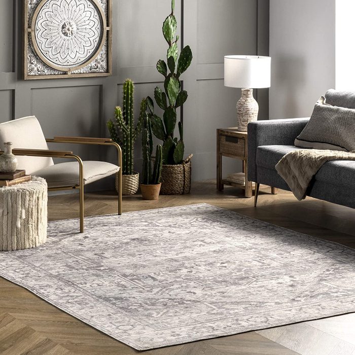 A large patterned rug lies on a wood floor, surrounded by cacti, a sofa with cushions, a chair, and a lamp-lit side table.