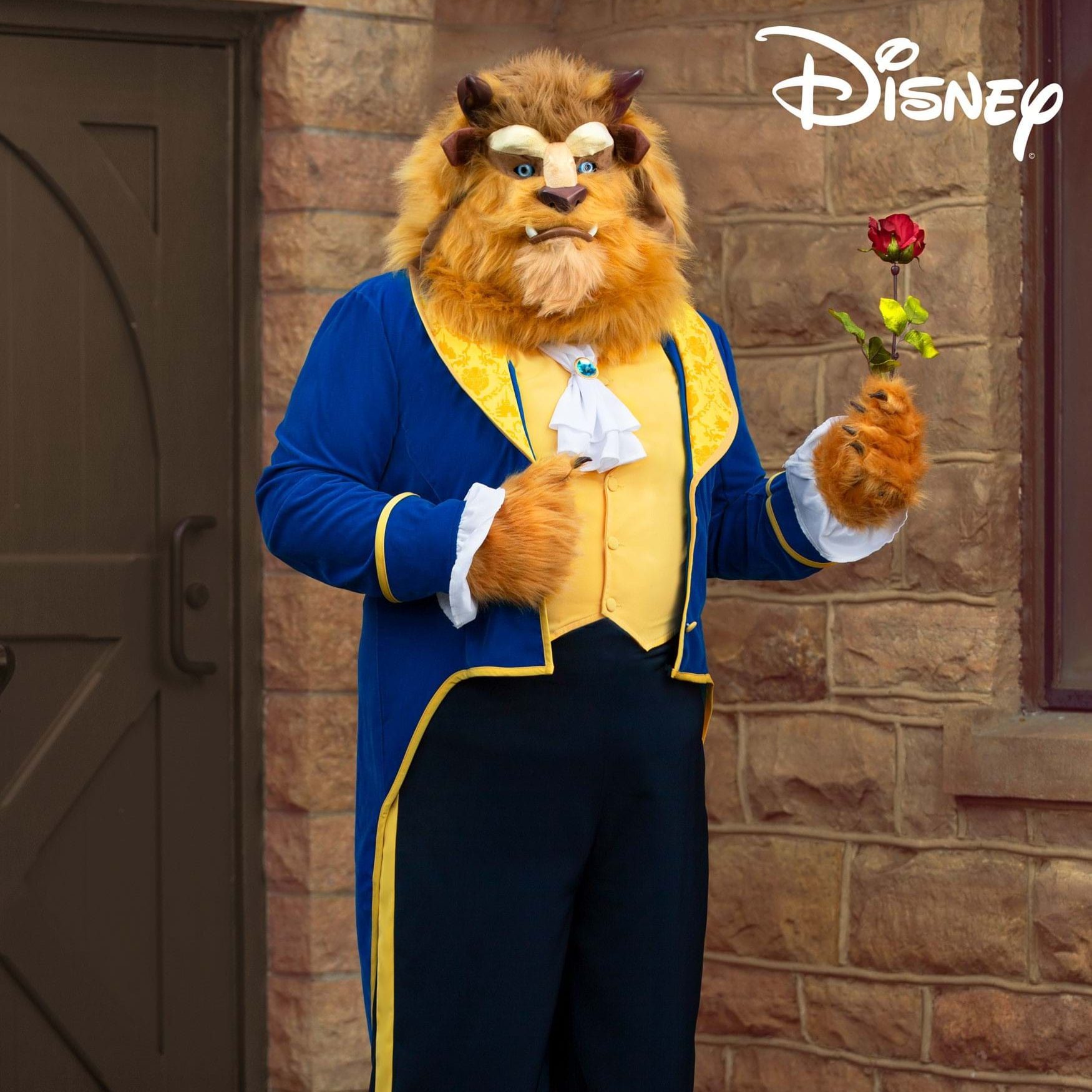 Plus Size Beast Costume Ecomm Via Halloweencostumes.com
