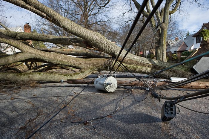 Wind storm damage
