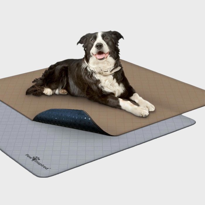 Dog lying on a tan pad with layered blue and gray textures, situated in a plain background. Text reads 