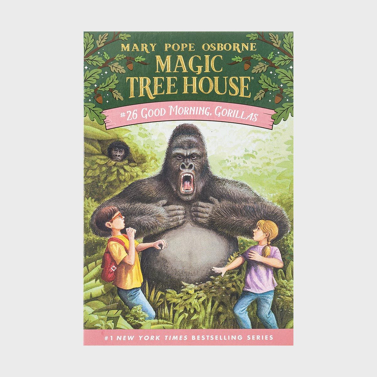 Magic Tree House 26