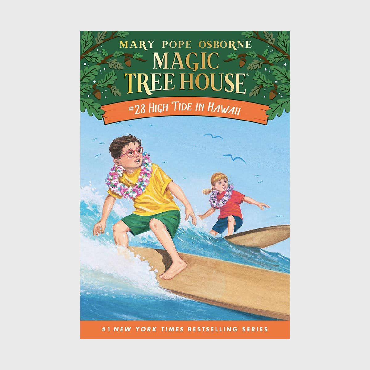 Magic Tree House 28