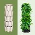6 Eye-Catching Vertical Gardens Designed to Grow Up in Small Spaces