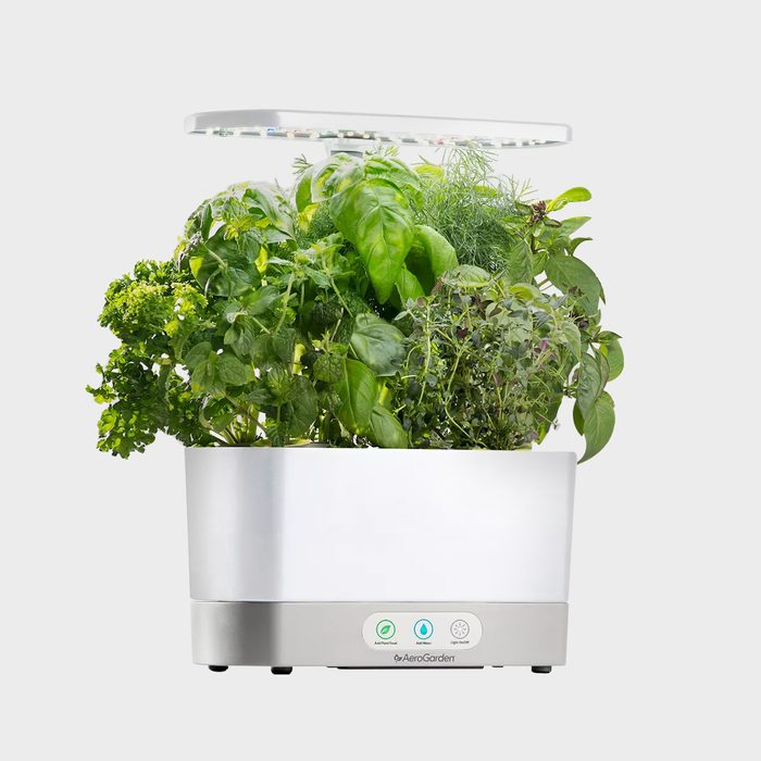 Herb plants grow in a white indoor garden unit with a built-in LED light, set against a plain background.