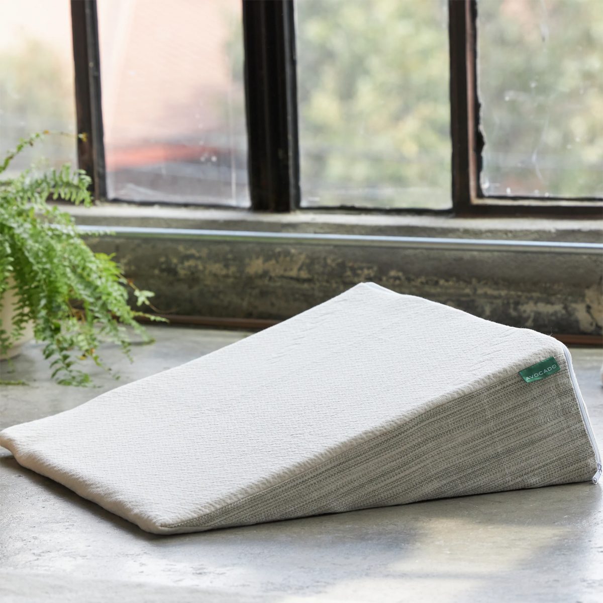 Organic Latex Wedge Pillow Ecomm Avocadogreenmattress.com