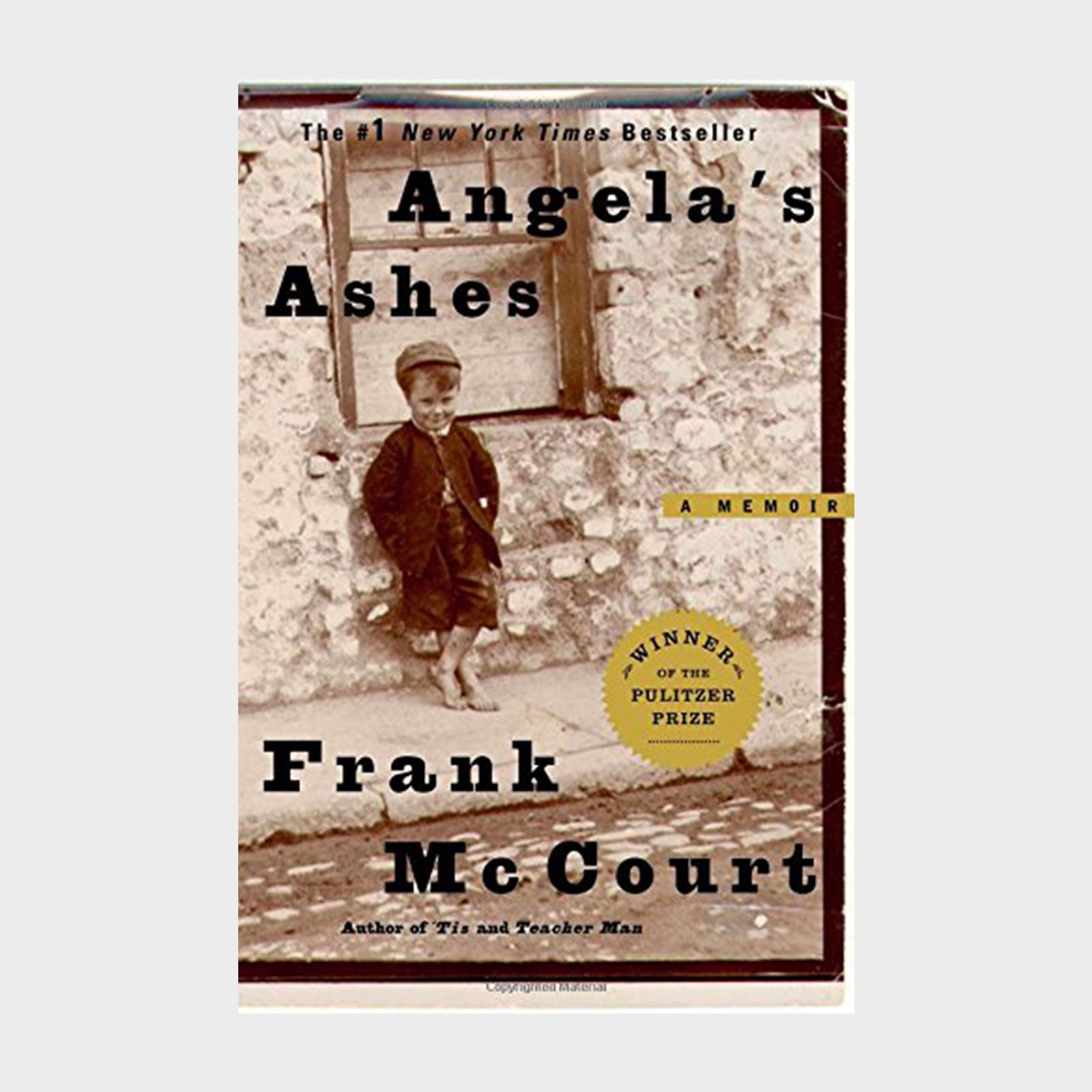 Angelas Ashes Book