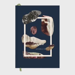 Book cover displays abstract shapes with tropical and waterfall images, framed in cream. Text reads 