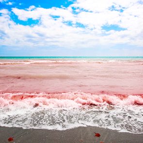 Pink waves crash gently on a sandy beach under a bright blue sky with scattered clouds.