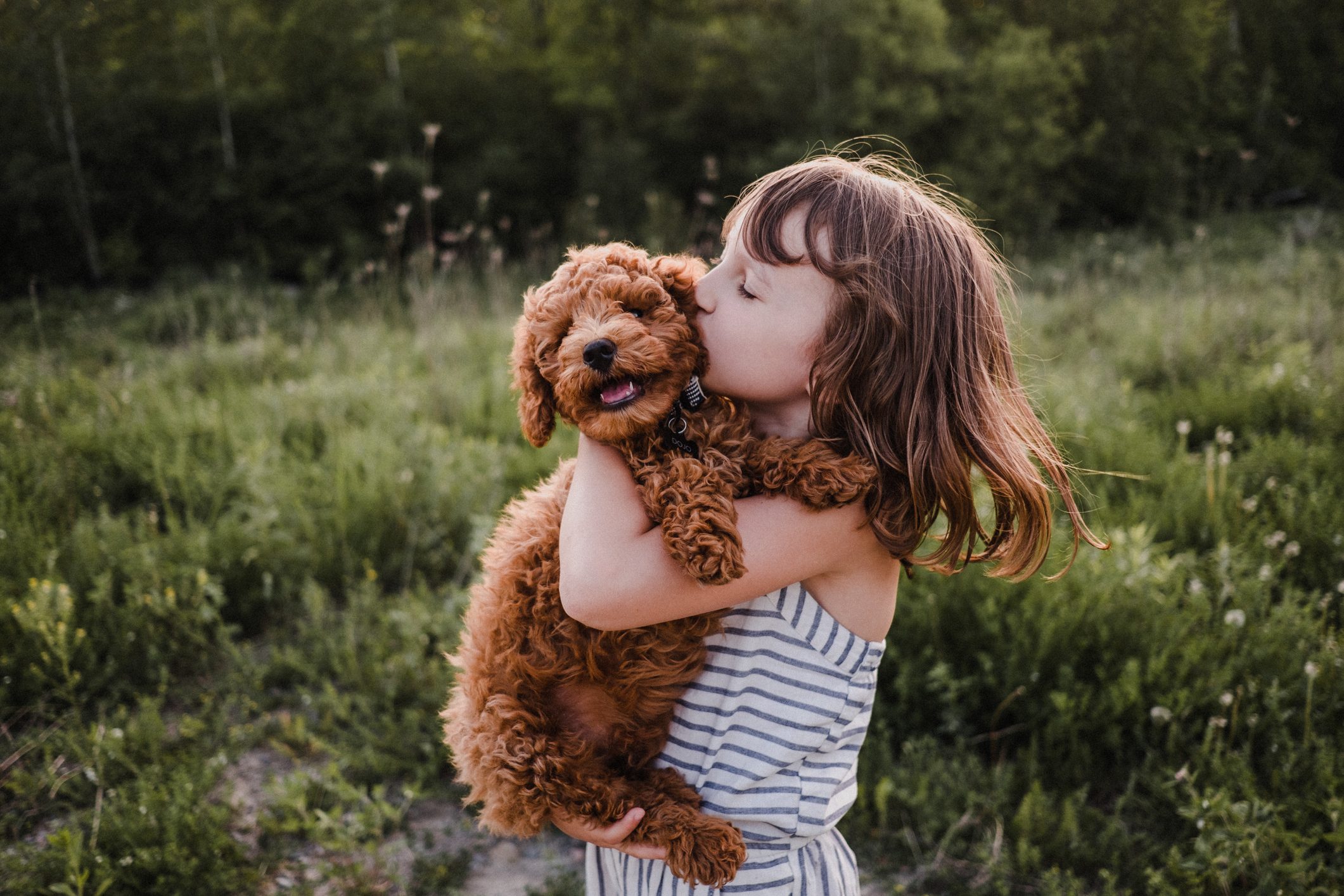 Do Dogs Like Kisses? What to Know Before Smooching Your Pup